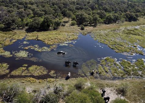 Visit The Okavango Delta On A Trip To Botswana Audley Travel