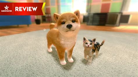Little Friends Dogs And Cats Review A Ruff Nintendogs Clone