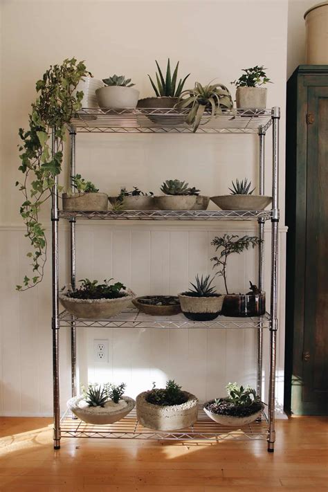 Order succulent plants, cuttings, seeds and more. Grow Succulents In A Bowl: Using Glass, Ceramic, Or ...