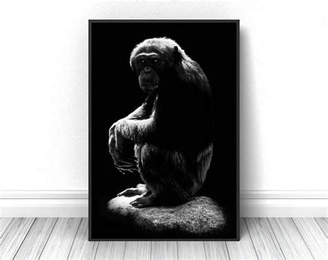 Creative Chimpanzee Print Black And White Animal Fine Art Etsy Fine