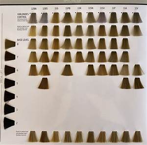 Goldwell Hair Color Chart For Salons And Stylists Hair Color Chart