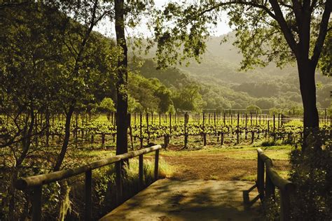 Article Bonterra Organic Vineyards