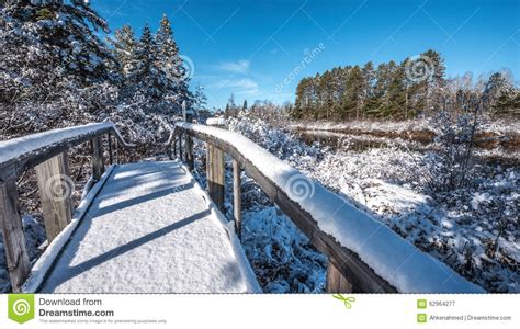 Snow Covered Footbridge In A Winter Woods Fresh Fallen Snow Stock