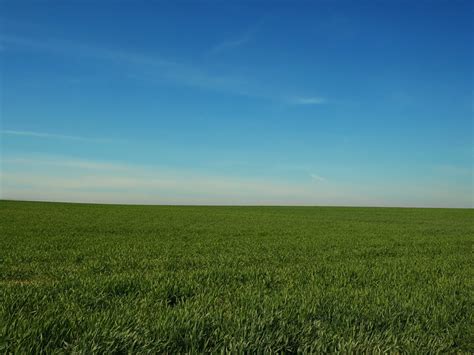 Free Images Landscape Horizon Marsh Cloud Sky Field Lawn