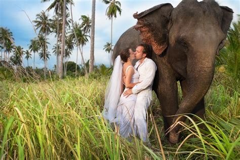 sri lanka wedding packages from just £544 per couple quirky wedding elephant wedding ocean