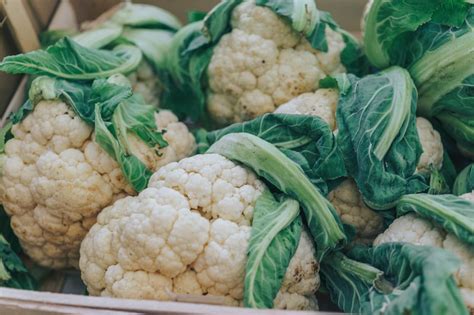 Ernten wollen wir den geschlossenen blumenkohlkopf und keine aufgeblühte pflanze. Blumenkohl pflanzen - der komplette Anbau-Guide - Wurzelwerk