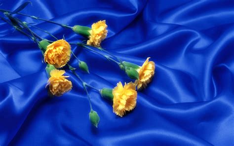 Wnp Wallpapers And Pictures Blue With Yellow Flower Wallpaper