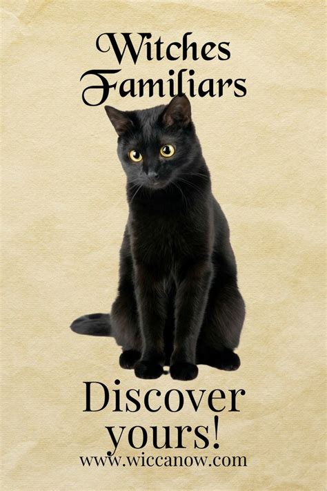Witches Familiars Witches Familiar Witch Create Your Own Book