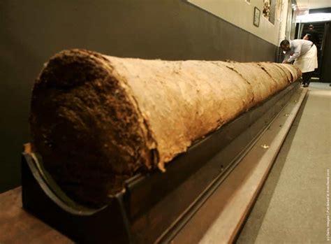 Largest Cigar In The World Gagdaily News