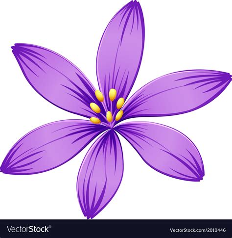 A Five Petal Purple Flower Royalty Free Vector Image