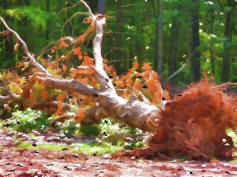 Uprooted Trees Painting By Jeelan Clark Fine Art America