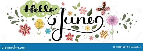 Hello June June Month Vector Decoration With Flowers Butterflies And