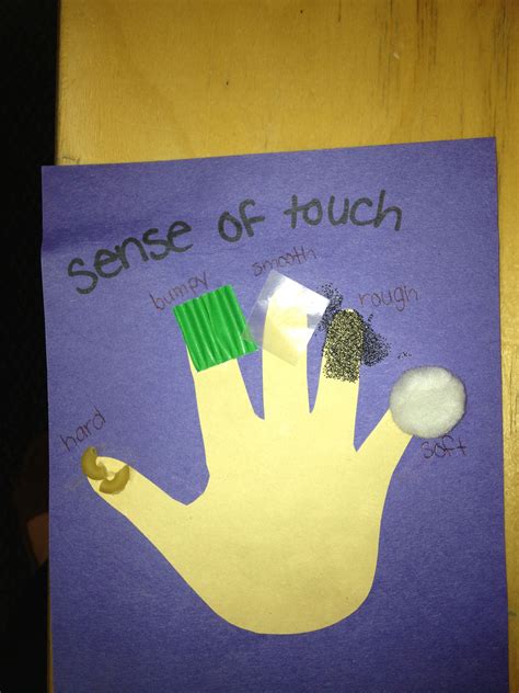 5 Senses Craft All Different Textures Etc On Each Finger Sand Foil
