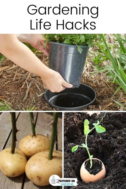20 Insanely Clever Gardening Tips And Ideas Flowers And Vegetables