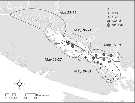 The Residence Time Of Juvenile Fraser River Sockeye Salmon In The