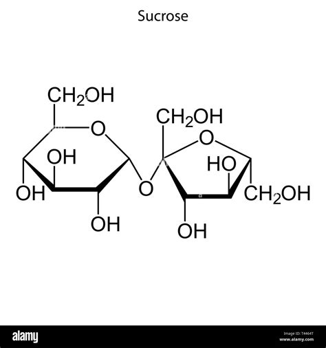 Skeletal Formula Of Sucrose Chemical Molecule Stock Vector Image And Art