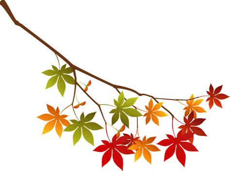 Maple Autumn Leaves Branch Clipart Free Download Transparent Png
