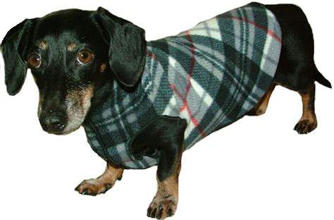 Cozy Fleece Dachshund Sweater Dachshund Sweater Dachshund Dog
