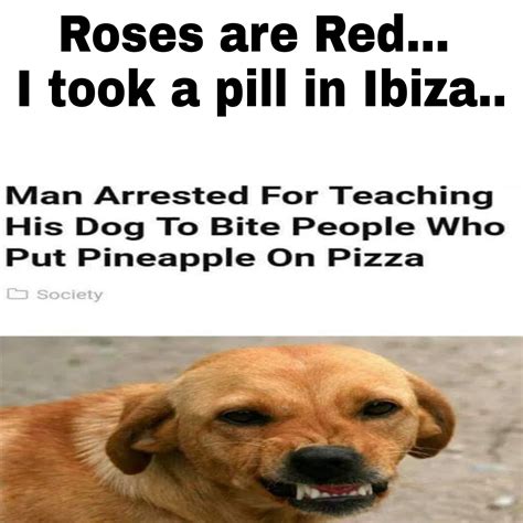 29++ Dog Memes Pizza - Factory Memes