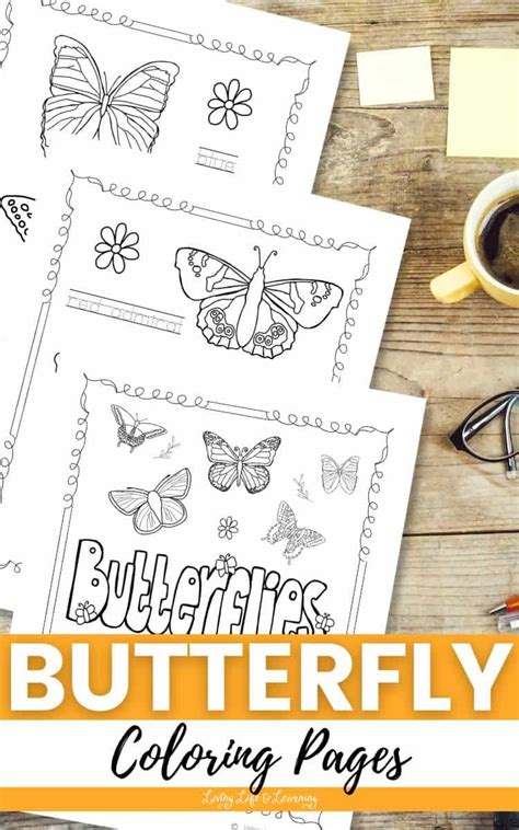 Butterfly Life Cycle Coloring Pages Story The Best Porn Website