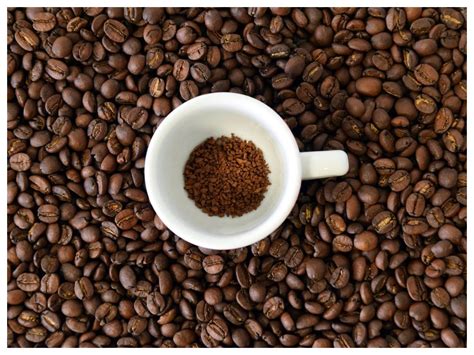 10 Best Instant Coffee In 2021 Buyers Guide Tech The Bite