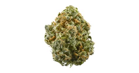 Cherry Icee Strain