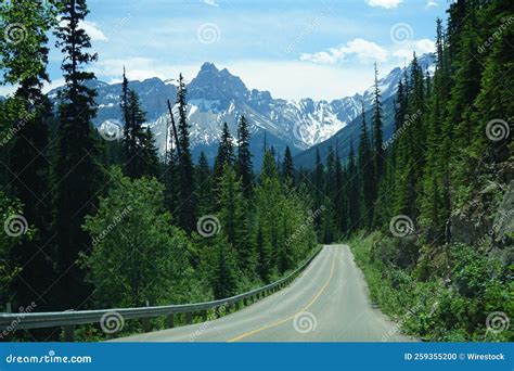 Beautiful Shot Of A Road Surrounded By Trees In Yoho National Park