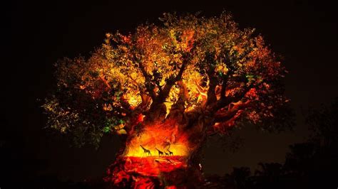 The Lion King Sequence Coming To Tree Of Life Projection Show At