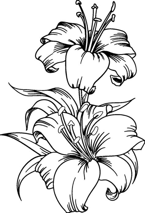 Lily SVGLily Flower svg Flower Svg Files for Cricut Cut | Etsy
