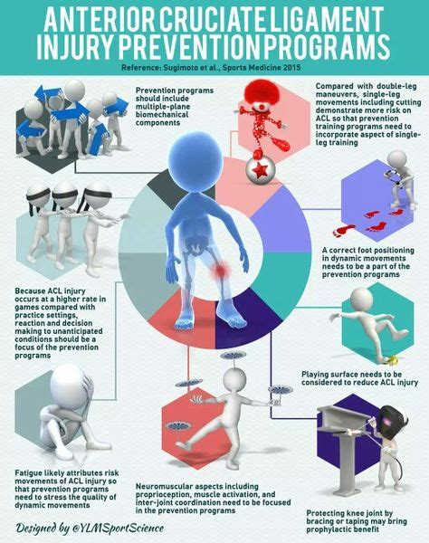 Acl Prevention Program Design Ther Ex Infographics Leg Training