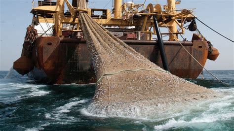 Unbelievable Trawler Big Catch Fishing On The Boat Lot Of Live Fish