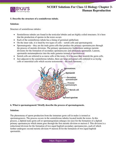 Ncert Solutions For Class 12 Biology Chapter 3 Human Reproduction 2022