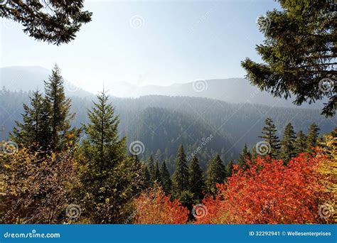Ford Pinchot National Forest Image Stock Image Du Nationale