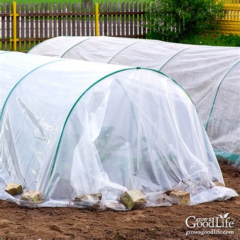 It may seem counterintuitive but keeping the soil moist can help protect plants from the cold. 6 Ways to Protect Plants from Frost