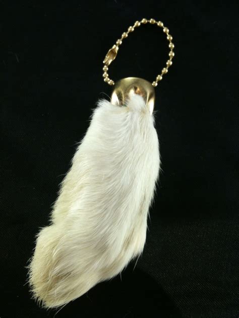 Кроличья лапа / rabbit's paw 2020. Inner Sanctum of the Ninveah: Lucky Rabbit's Foot