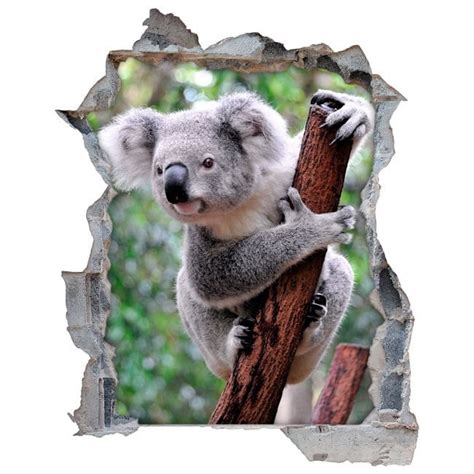 🥇 Vinilos 3d Koala 🥇