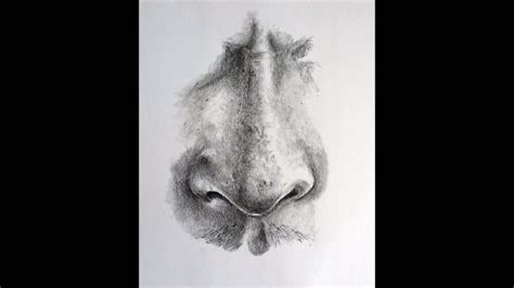 See what we did and learn how easy it is! How to Draw a Realistic Nose - YouTube