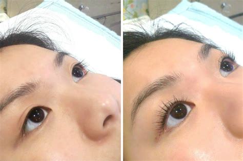 In fact, the curved design provides smooth, even pressure every time. How To Curl Straight Asian Eyelashes | Just Jemini