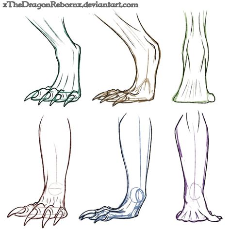 Dragon Feet Study By Xthedragonrebornx Dragon Sketch Feet Drawing
