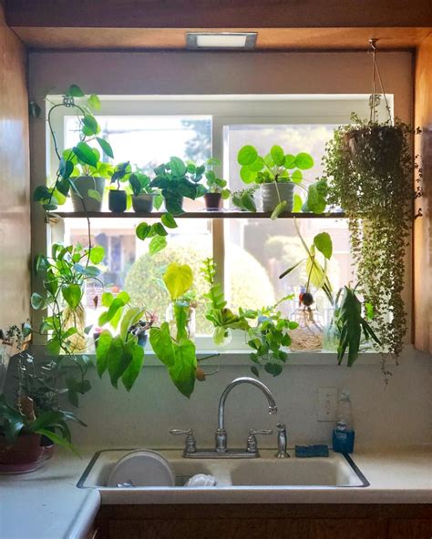 The Added Plant Shelf To The Kitchen Window Serves As A Privacy Screen