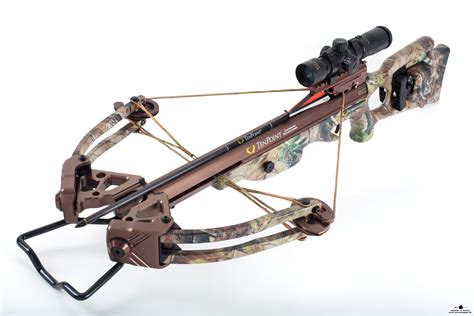 TenPoint Stealth XLT Crossbow at ARROW IN APPLE