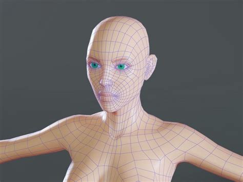 3d Model Female Base Mesh Topology Vr Ar Low Poly Cgtrader