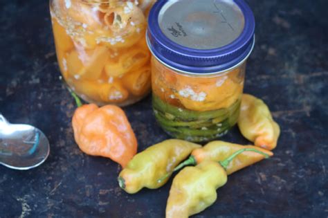 Easy Hot Pepper Sauce Recipe Simply Southern Mom