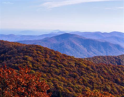 [OC] Blue Ridge Mountains in Autumn from Brasstown Bald - Northeast