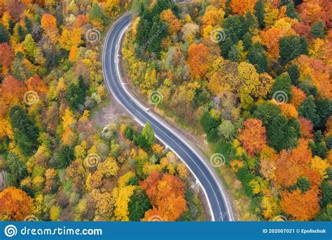 Winding Road Through The Beautiful Colorful Autumn Forest Aerial View