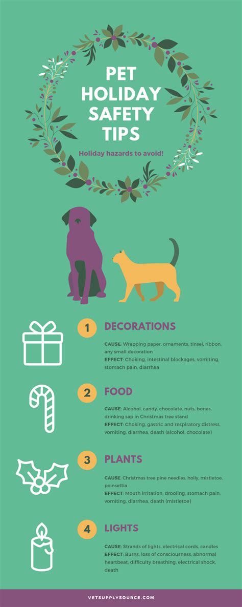Pet Holiday Safety Tips Holiday Hazards To Avoid Jandb Pet Source