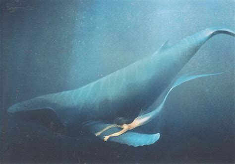Untitled Whale Mermaid Art Mermaid