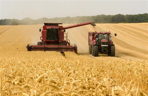 Record Crop Yields Contradict Climate Doomsters Claims