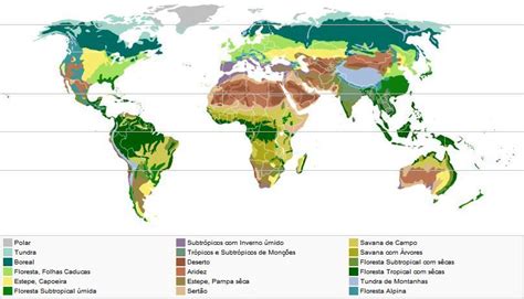 Biomas Do Mundo Biomas Do Mundo