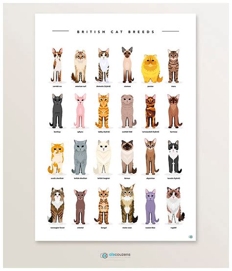 Cat Breeds Cats Print Cat Poster Cat Lover Cat T Cat Etsy